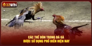 Các Thế Đòn Trong Đá Gà