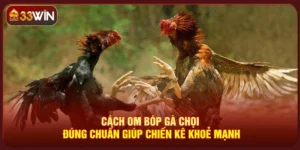Cách Om Bóp Gà Chọi